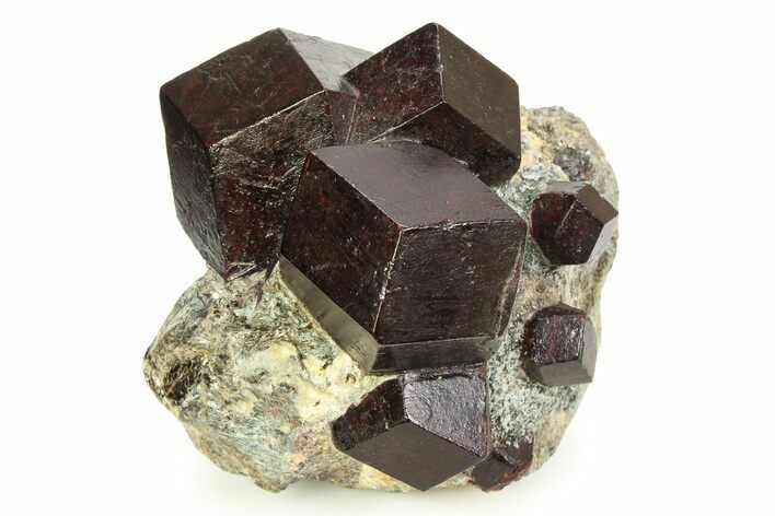 Polished Almandine Garnets in Schist - Tyrol, Austria #352078